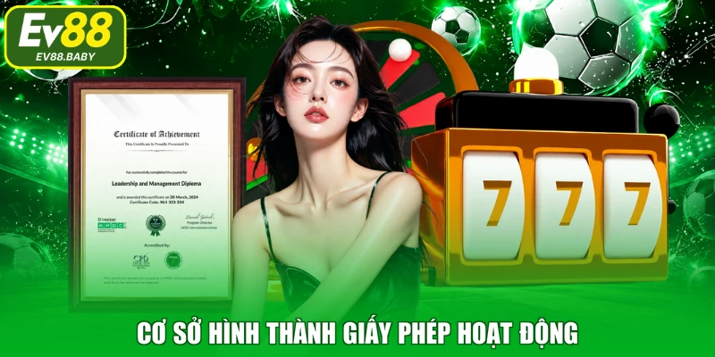 Cơ sở hình thành giấy phép hoạt động