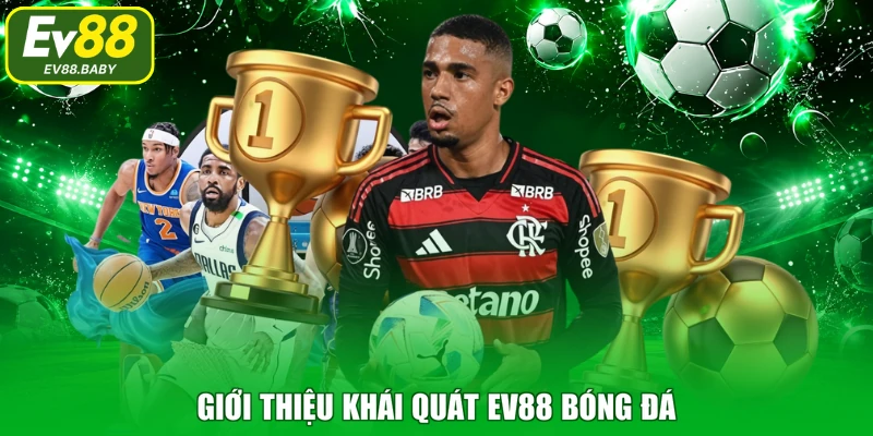 Giới thiệu khái quát EV88 bóng đá